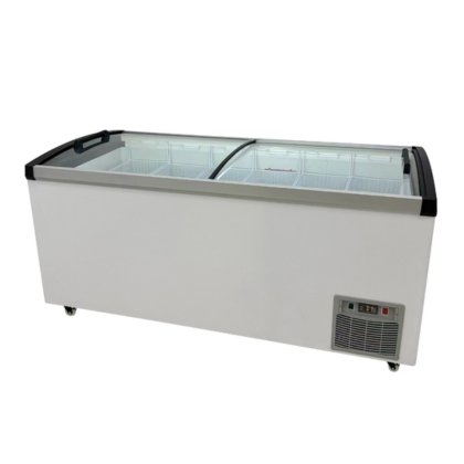 Two-Door Curved Glass Freezer