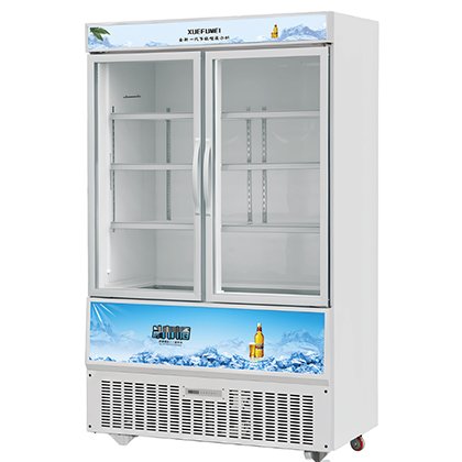 Upright Display Freezer