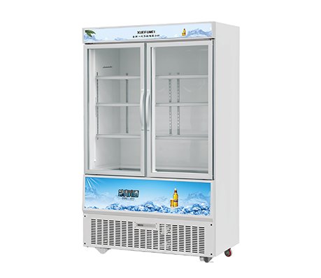 Upright Display Freezer