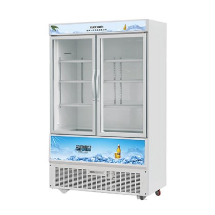 Double-Door Upright Display Freezer
