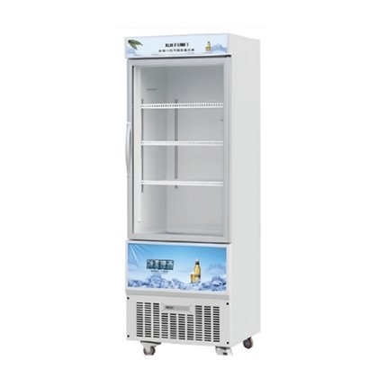 Single Door Upright Display Freezer