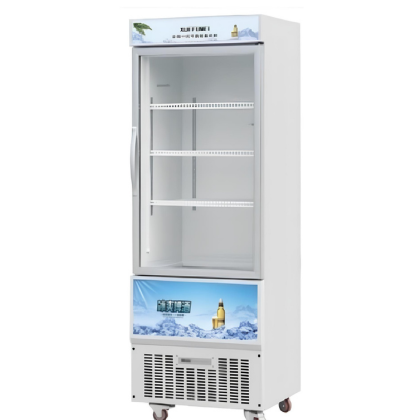 Single door glass freezer