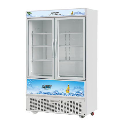 LSD-1200fd-(EC) Two Door Glass Freezer