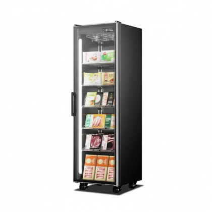 HXY-470S Single Door Glass Freezer