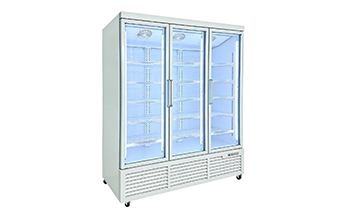 HLC-1518FD Upright Ice Cream Freezer