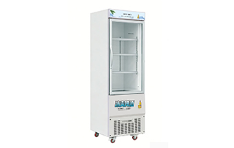 HLC-508FD Upright Ice Cream Freezer