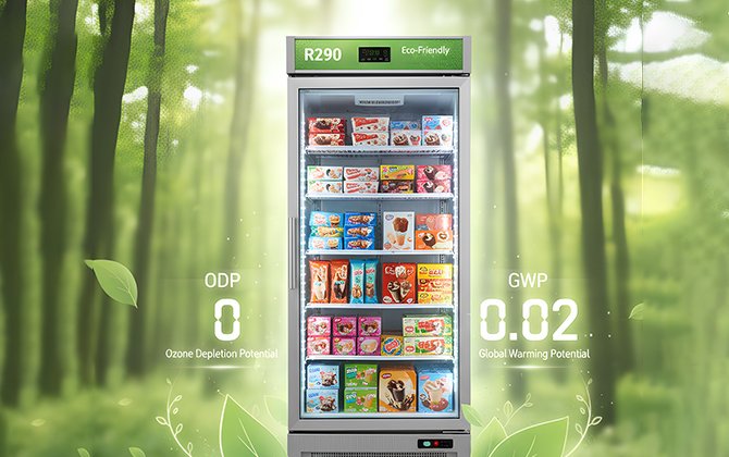 R290 refrigerant eco friendly upright display freezer