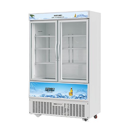 Upright Display Freezer